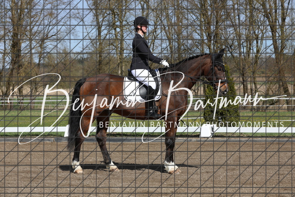 AZ2A4563 | Benjamin Bartmann Photomoments