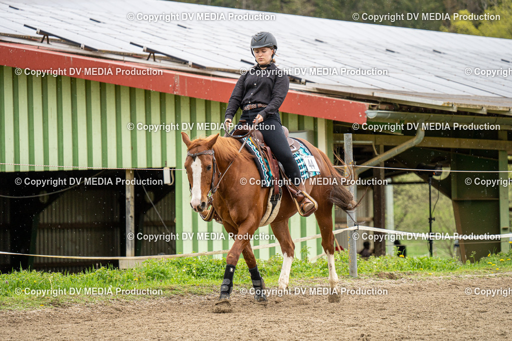 BAL00807 | dv-media-shop - Realisiert mit Pictrs.com