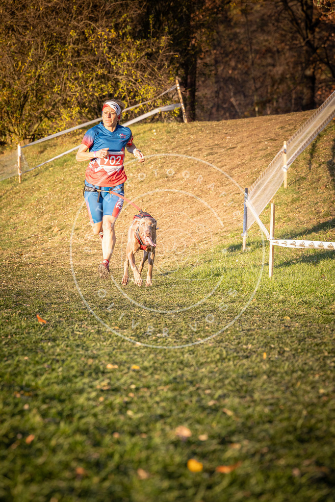 CaniXpix_0L8A1296 | Hundefotografie, Tierfotograf, Pfotenfotografie, Fotoshooting Hund, Hunde Portrait, Hundesport, Hundeportraits, Heideshooting, Hunde, Sportfotograf, Hundefotograf, Turnierhundsport, THS,  - Realisiert mit Pictrs.com