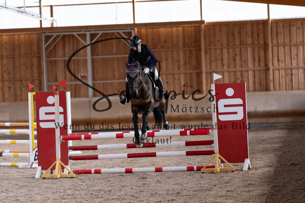 A7507744 | Pferdefotograf