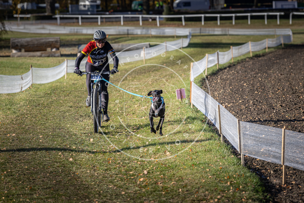 CaniXpix_DV3A4833 | Hundefotografie, Tierfotograf, Pfotenfotografie, Fotoshooting Hund, Hunde Portrait, Hundesport, Hundeportraits, Heideshooting, Hunde, Sportfotograf, Hundefotograf, Turnierhundsport, THS,  - Realisiert mit Pictrs.com
