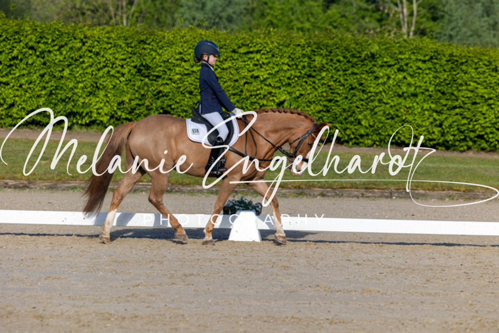 7I8A2043 | melanie-engelhardt-photography - Realisiert mit Pictrs.com