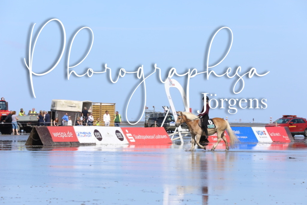 IMG_9524 | photographesa-joergens - Realisiert mit Pictrs.com