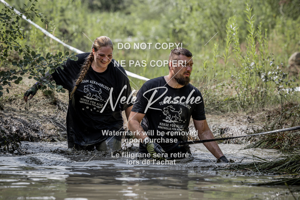 nelerasche_so1030-1100_290 | nelerasche