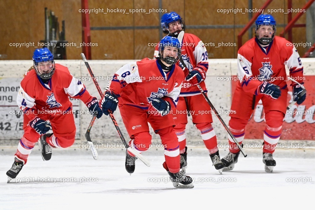 BST_5811 | hockey sports photos, Pressefotos, Sportfotos, hockey247, win 2day icehockeyleague, Handball Austria, Floorball Austria, ÖVV, Kärntner Eishockeyverband, KEHV, KFV, Kärntner Fussballverband, Österreichischer Volleyballverband, Alps Hockey League, ÖFB, 