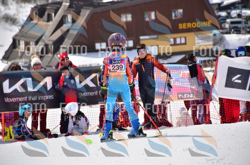 VR4_7408 | holidayphoto