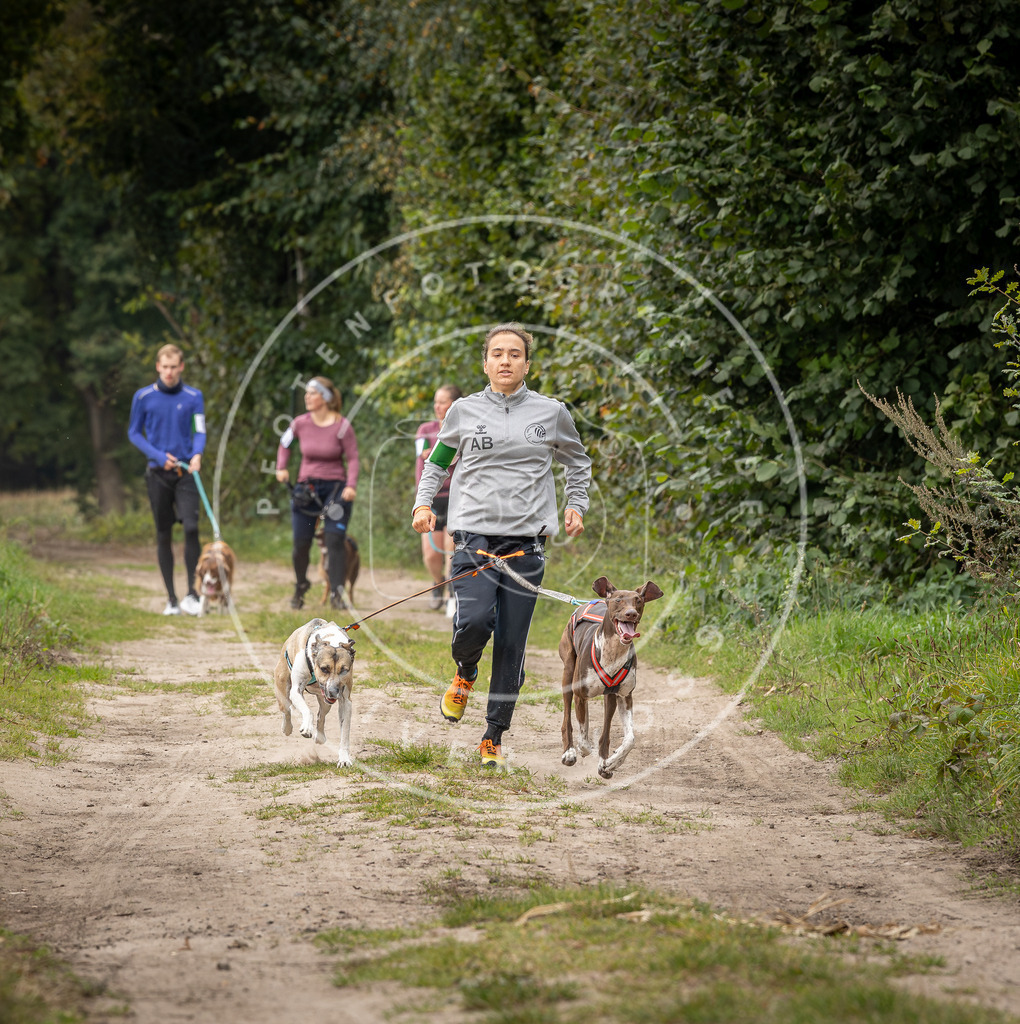 Pfotenfotografie_DV3A6053 | Hundefotografie, Tierfotograf, Pfotenfotografie, Fotoshooting Hund, Hunde Portrait, Hundesport, Hundeportraits, Heideshooting, Hunde, Sportfotograf, Hundefotograf, Turnierhundsport, THS,  - Realisiert mit Pictrs.com