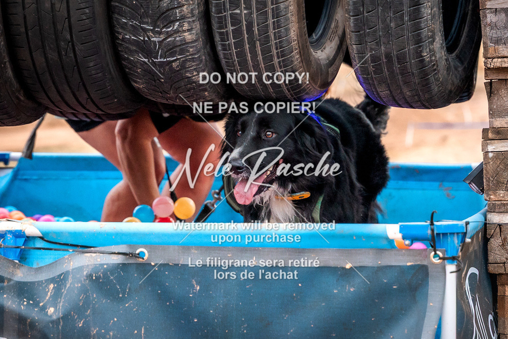 nelerasche_SummerNights26-Sa2000-2100_01 | nelerasche