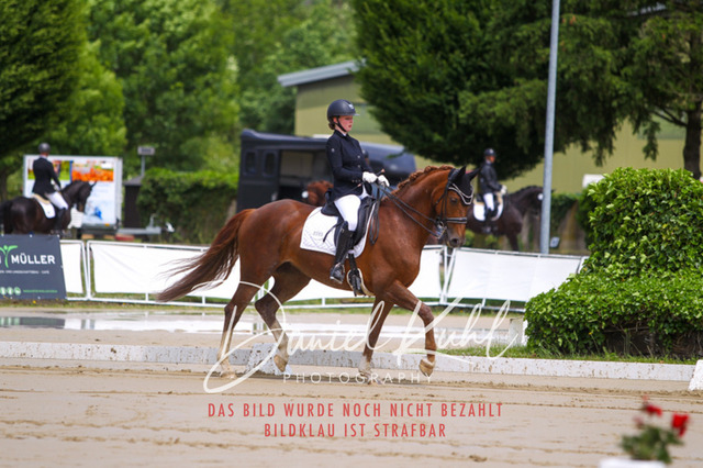 DKP40690 | Turniersportfotografie; Pferdefotografie; Dressurfotografie