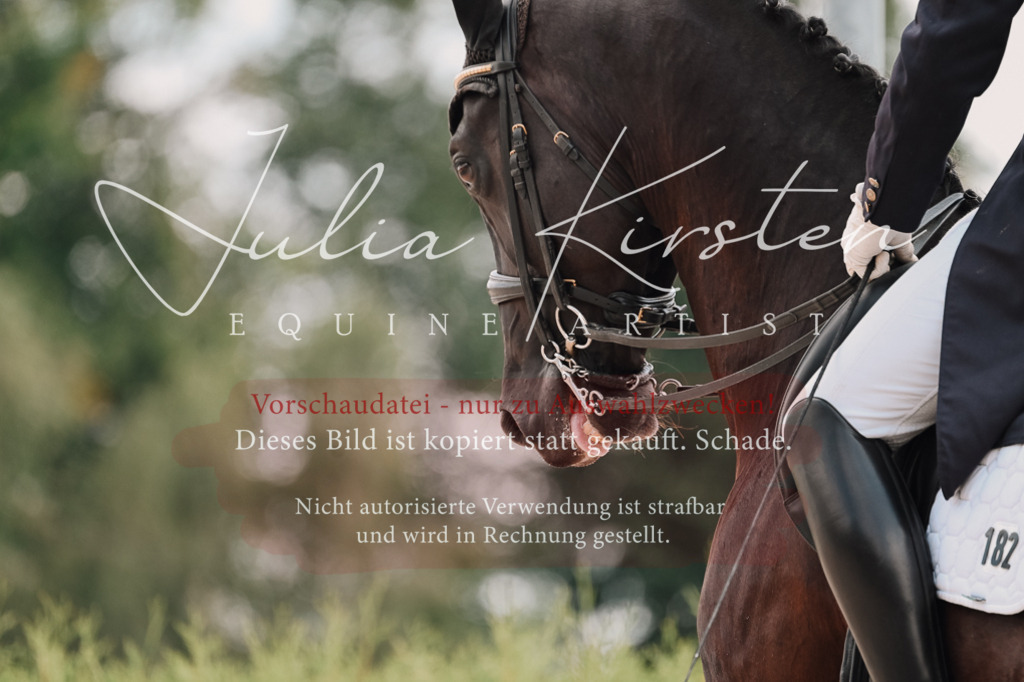 DSC_3978 | Pferde- und Turnierfotografie in Westsachsen. Pferdeportraits, Auftragszeichnungen und intuitive Kunst.