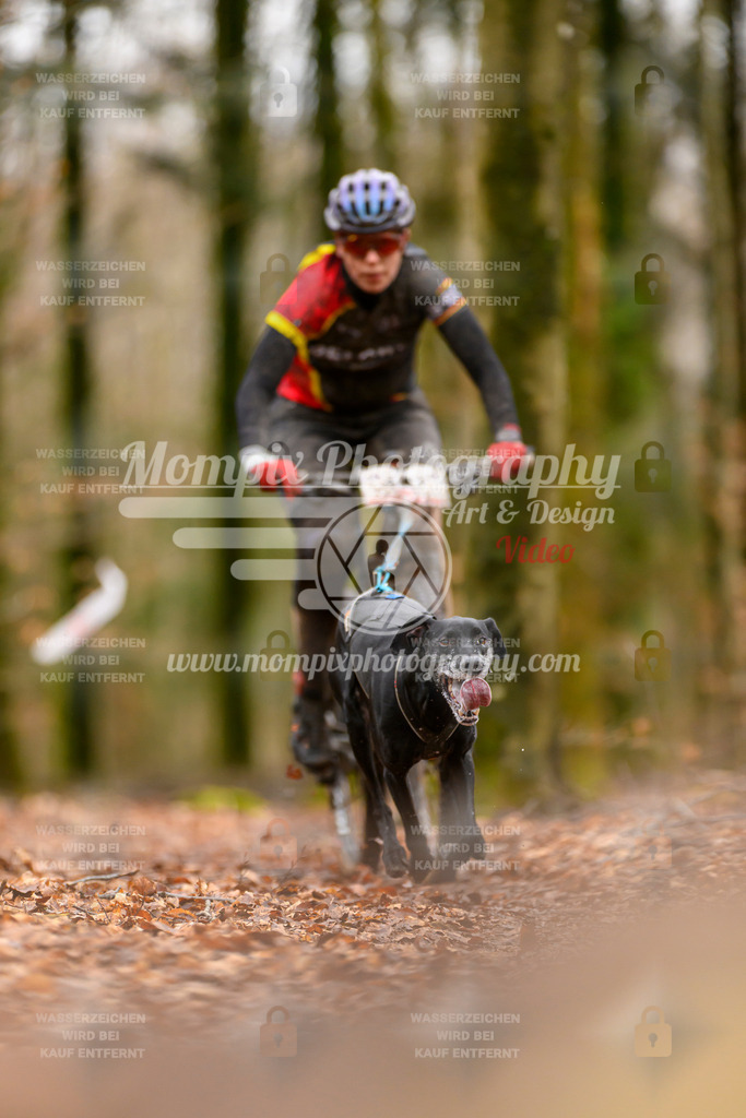 MompixPhotography_Habay2024_SA_Bike-23 | PayLife