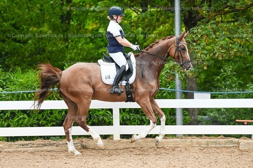 20230715_07_Dressurpferdeprfg. Kl.L_0038 | equistock