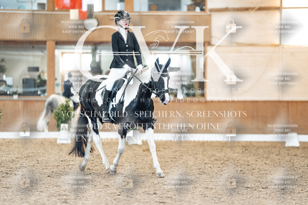 CK907605 | Turnierfotografie Pferdefotografie Trier Rheinland-Pfalz Pferdesport Reitsport Tierfotografie Sportfotografie Pferdevideo Pferdevideografie Equestrianvideography equestrianphotography  - Realized with Pictrs.com
