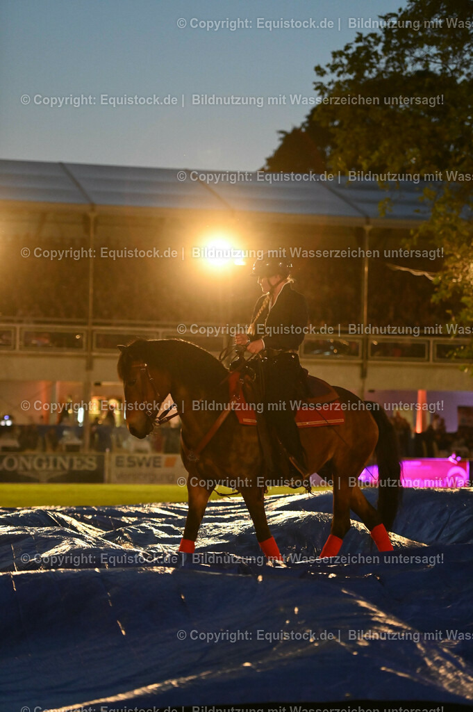 20230526_Pferdenacht_1014 | equistock