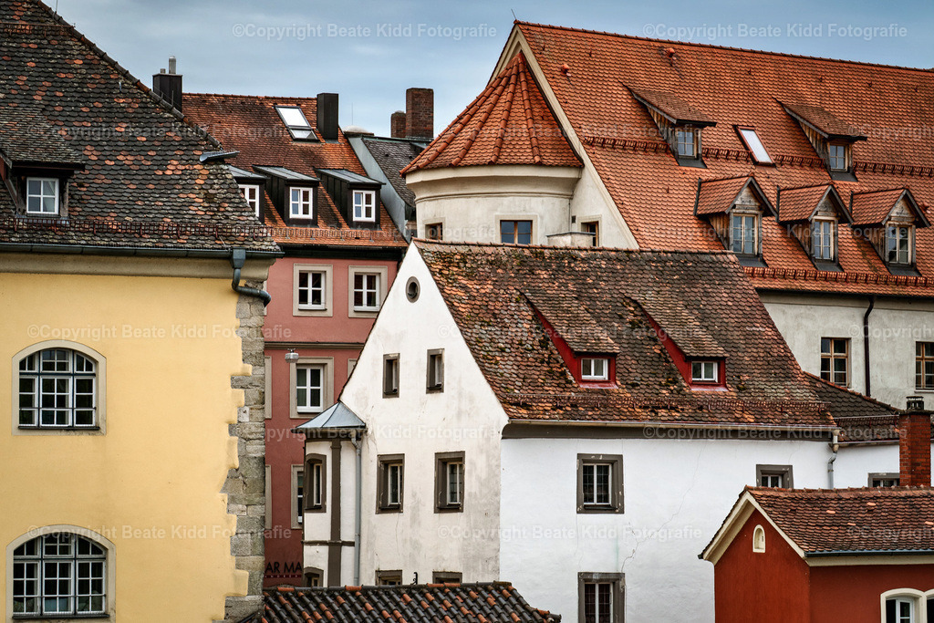 P1950240 | beatekidd-fotografie - Realisiert mit Pictrs.com