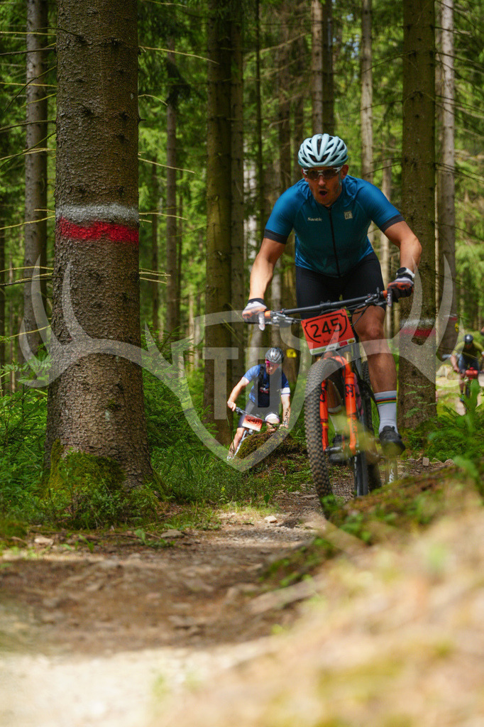 FC603709 | Fotogalerie der Treibjagd im Dunkelwald - Dein MTB Etappenrennen im Erzgebirge - Realisiert mit Pictrs.com