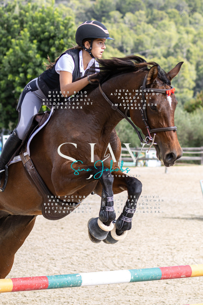 IMG_2930 | s-jay-photography - Realisiert mit Pictrs.com