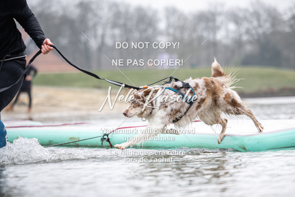 nelerasche_Hulsbeek_Sa1100-1130_299 | nelerasche