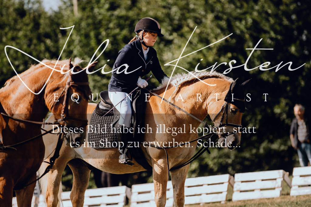 DSC_7011 | Pferde- und Turnierfotografie in Westsachsen. Pferdeportraits, Auftragszeichnungen und intuitive Kunst.