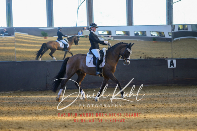 IMG_3098 | Turniersportfotografie; Pferdefotografie; Dressurfotografie