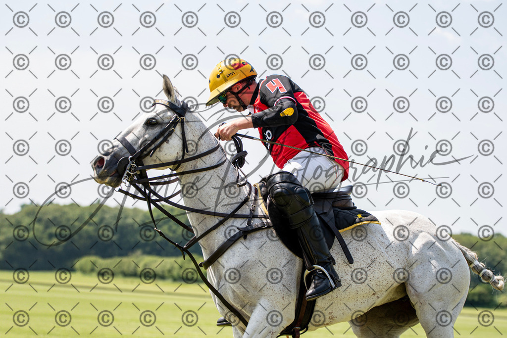 POL_2189 | andre_photographic