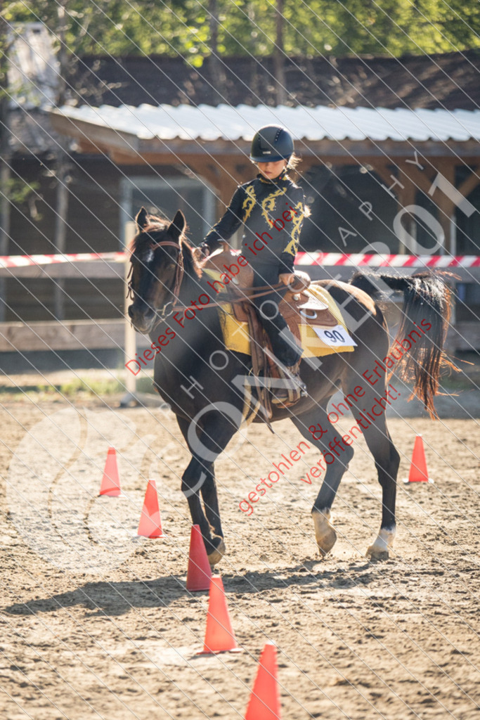IMG_6357 | Sport-, Event- und Tierfotos in Profiqualität. Einfach auswählen, bestellen und herunterladen. Dein Moment – perfekt festgehalten.