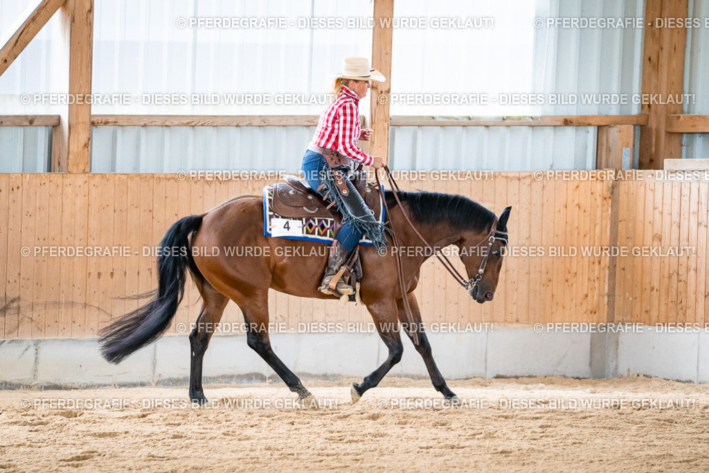 DSC08811 | Pferdegrafie