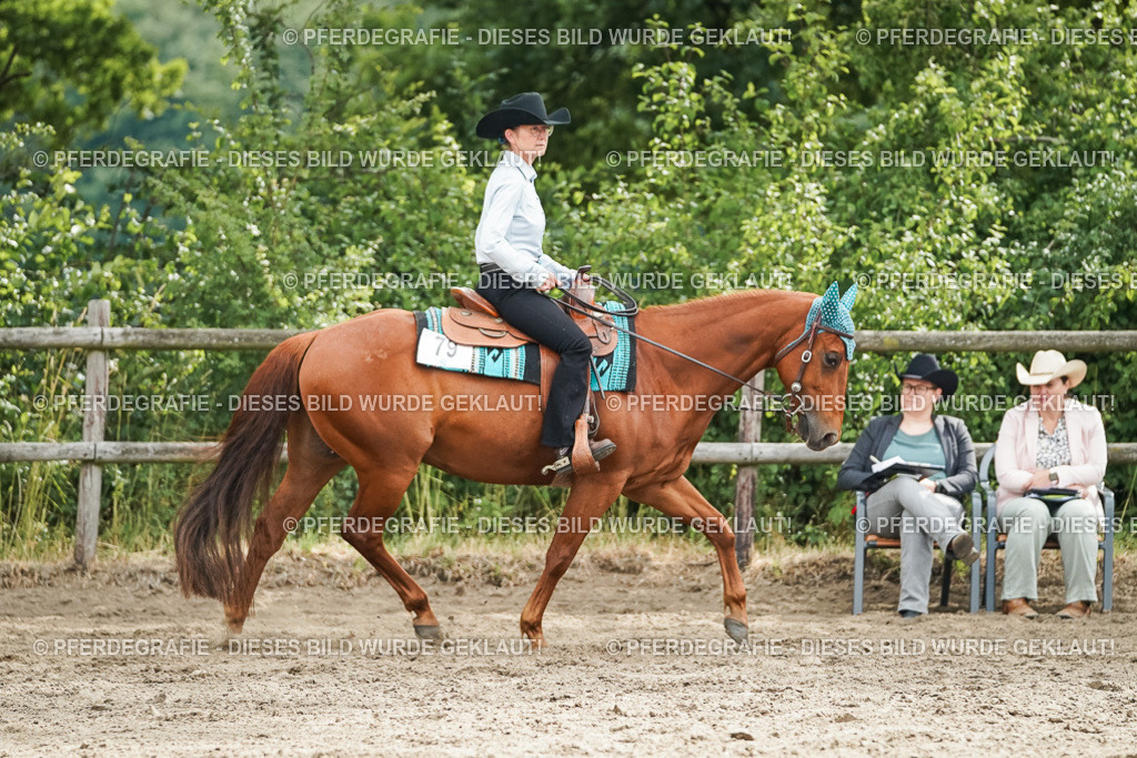 DSC03845 | Pferdegrafie