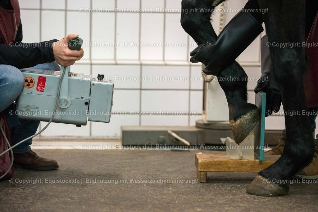 20170113_R__ntgen_0040 | Foto: Thomas Hartig