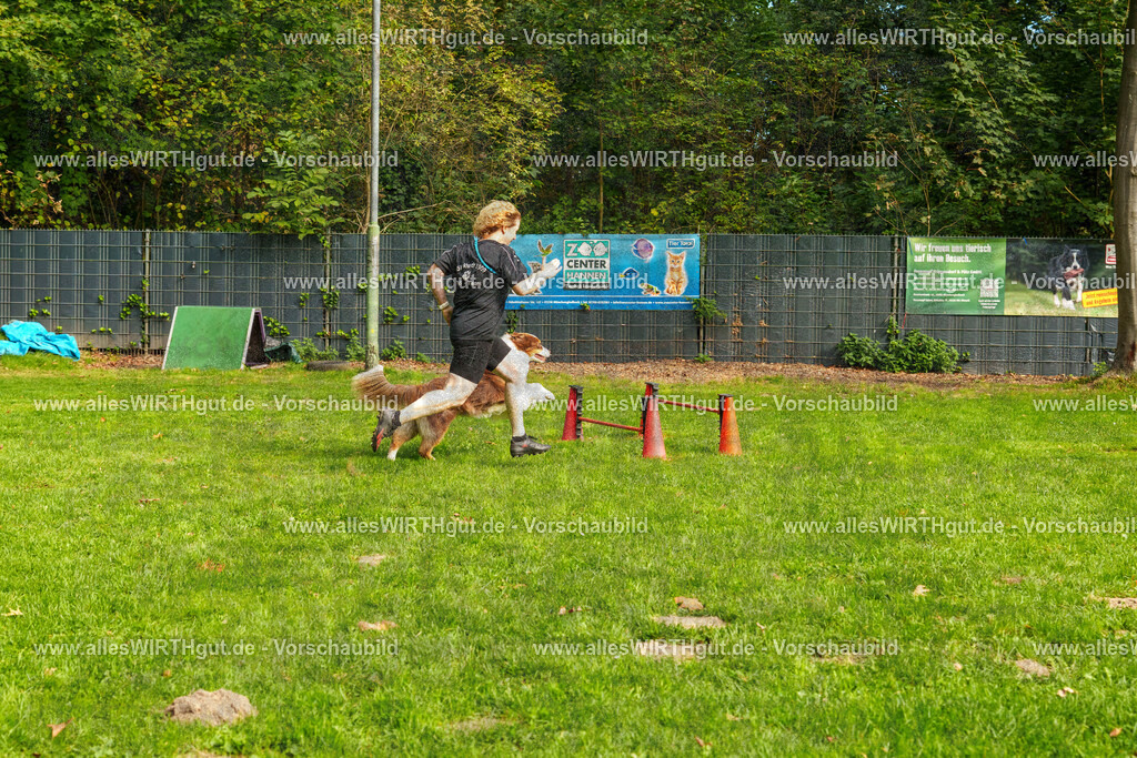 THS_Turnier_27-09-2026-allesWIRTHgut_Tierfotografie-7R507271 | Professionelle Tierfotografie in Mönchengladbach von Daniel Wirth (allesWIRTHgut). Liebevolle & natürliche Bilder von Hunden & Katzen für unvergessliche Erinnerungen.