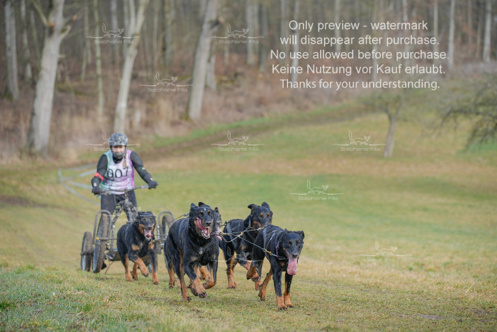 Sa_Gespanne-7 | stephaniefillaphotographie - Realisiert mit Pictrs.com