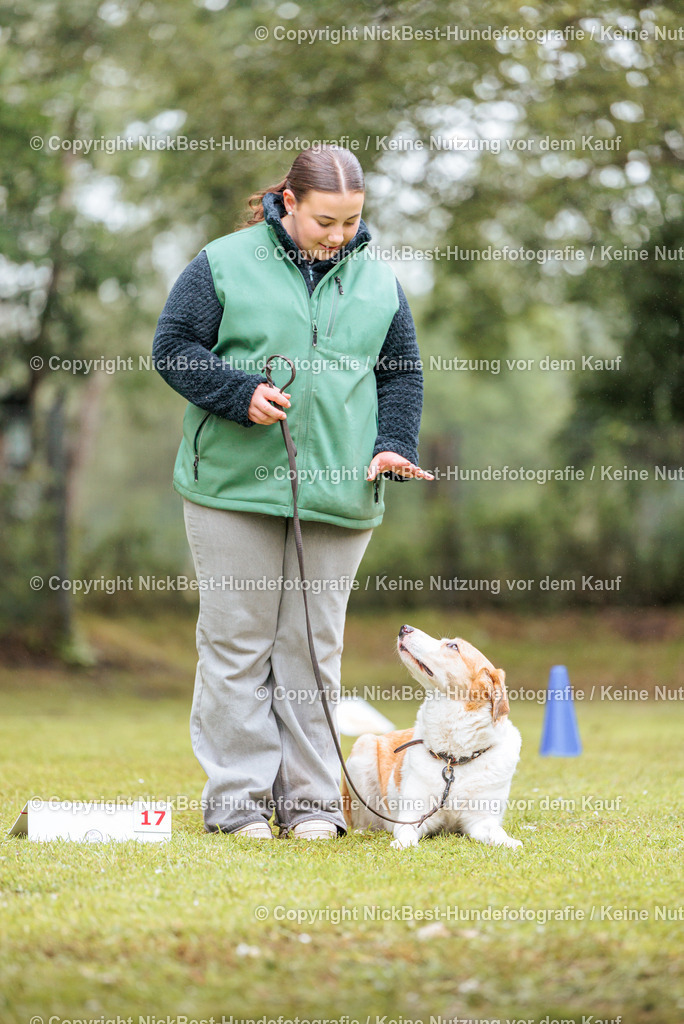 RO-Blumenthal-2026-Nickbest-Hundefotografie-4076 | Dein Hund! Dein Moment! Deine Erinnerungen! Hundefotografie in Bremen Blumenthal. Ich fange die besonderen Momente deines Vierbeiners ein – ob Indoor mit Blitzanlage oder in der freien Natur. Sicher dir dein Moment und dein Termin für eure Erinnerungen.