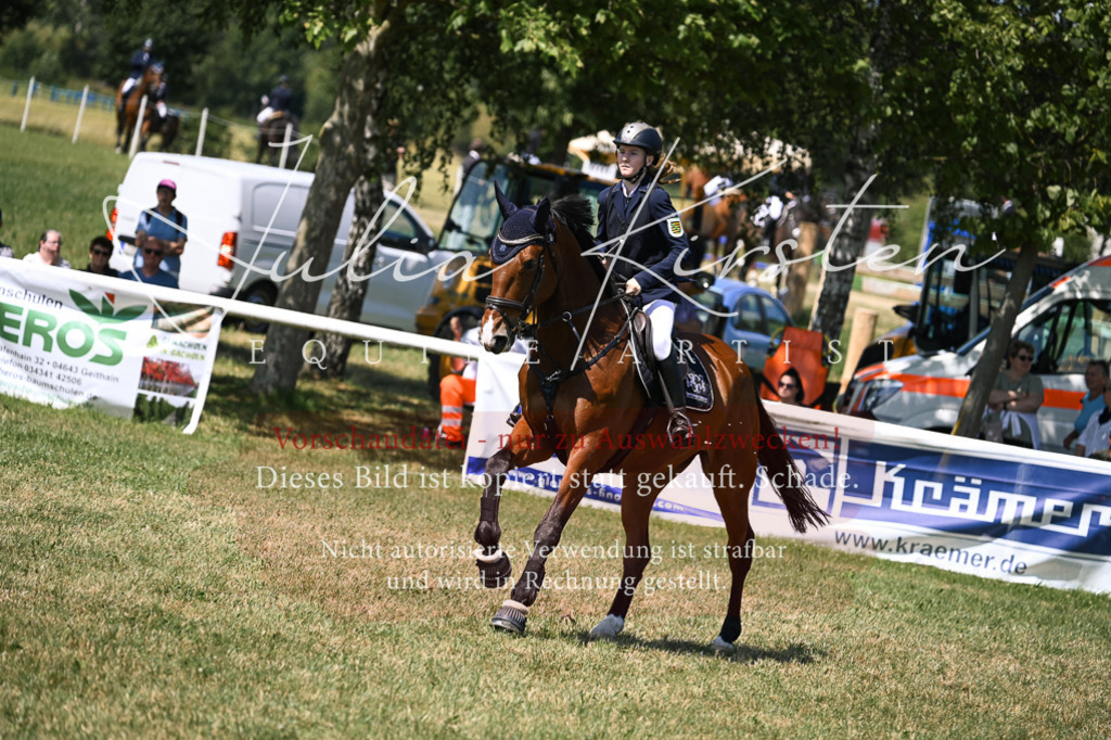 DSC_0134 | Pferde- und Turnierfotografie in Westsachsen. Pferdeportraits, Auftragszeichnungen und intuitive Kunst.