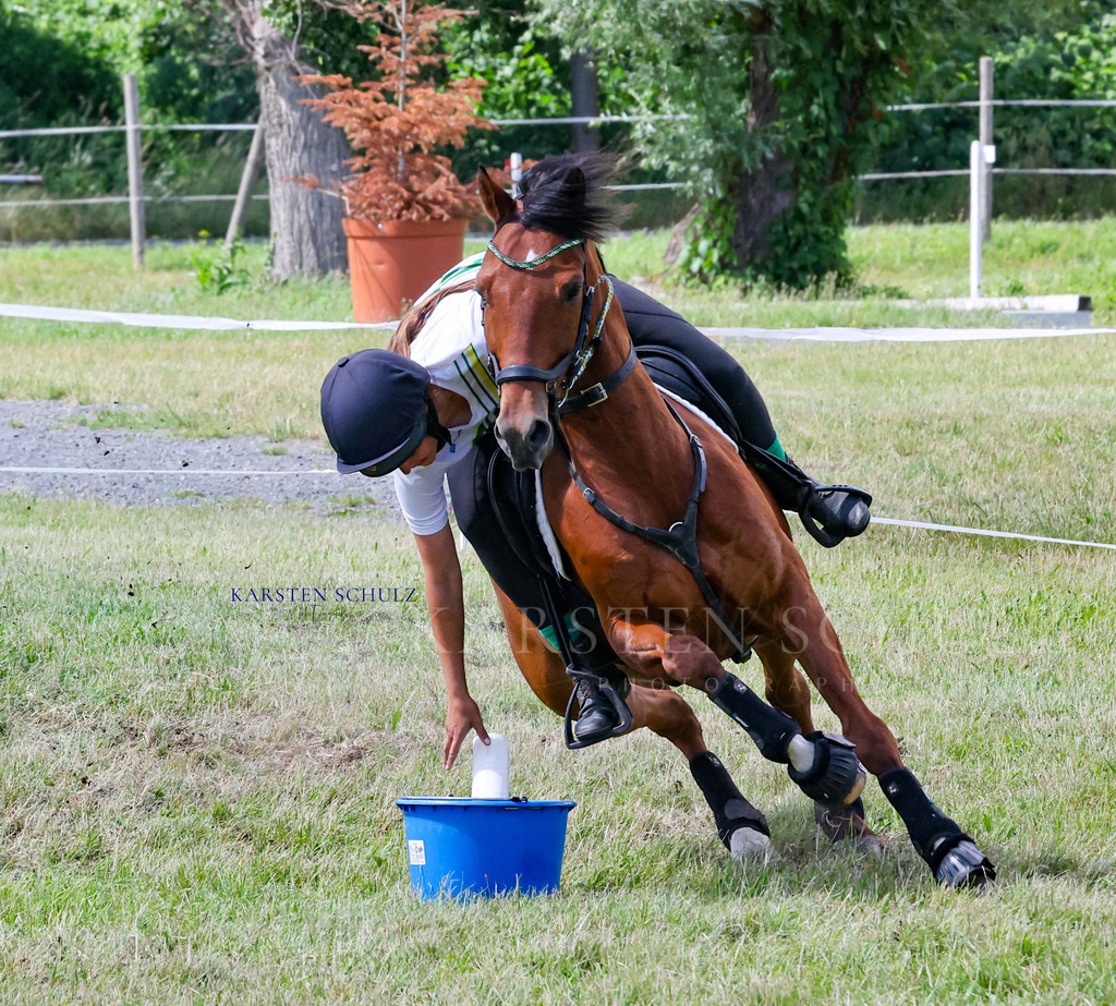 1B3A4333 | Reitsport Reiten