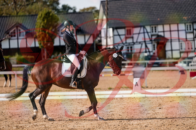 2026_10_03_Siefer-Hof_132116_Z63_82370493 | Professionelle Reitsport-, Turnier- und Eventfotografie von Robert Broda. Galerien mit ausgewählten und bearbeiteten Bildern direkt online ansehen und bestellen.