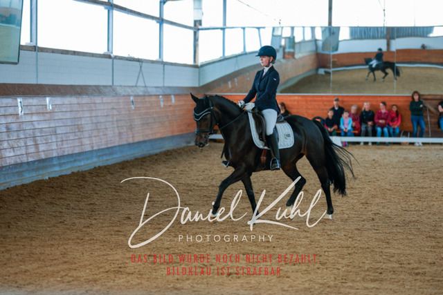 _62_4996 | Turniersportfotografie; Pferdefotografie; Dressurfotografie