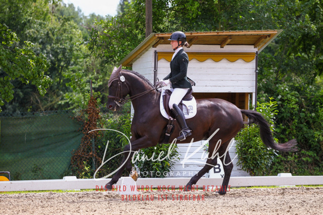 DKP41263 | Turnierfotos kaufen im Webshop von Daniel Kuhl Photography – entdecke professionelle Reitsportfotos aus Turnieren & Events. Hochwertige Turnierbilder online bestellen & sichern. Jetzt Fotos von Reitsportturnieren kaufen!