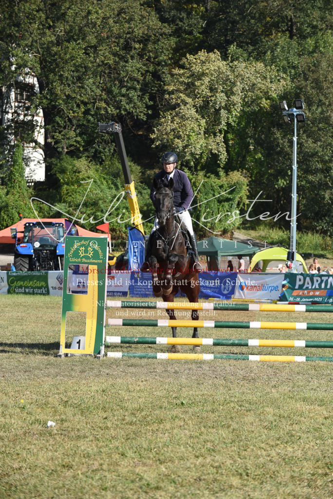 DSC_5342 | Pferde- und Turnierfotografie in Westsachsen. Pferdeportraits, Auftragszeichnungen und intuitive Kunst.