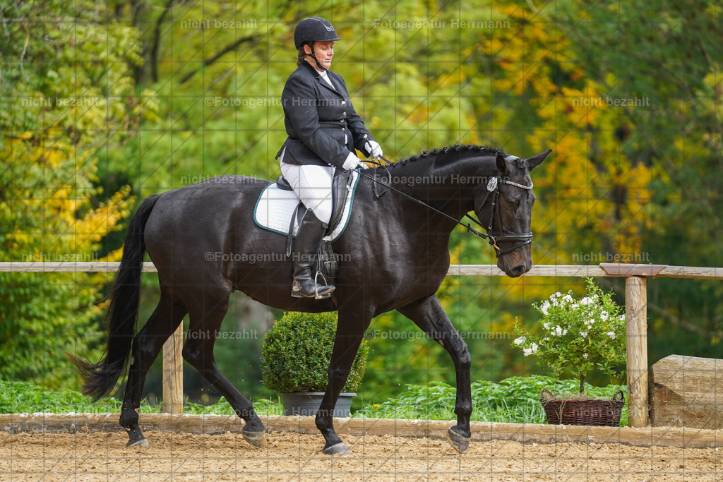 20221007-FAH09836 | Diessen am Ammersee, 2022, Dressur- und Springturnier, Reitsportbilder, Turnierfotografen Bayern, Pferdefotografen, Fotoagentur Herrmann, Turnierbilder