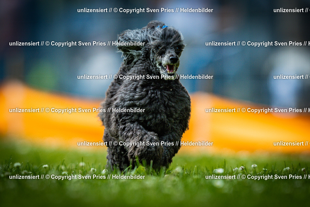 Sven Pries | 2025-05-29 - Pudelrennen KA-Durlach - Realisiert mit Pictrs.com