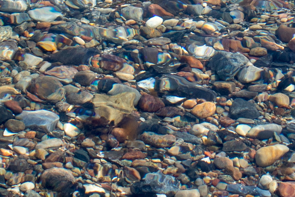 IMG_6345xx | codoma - Realisiert mit Pictrs.com