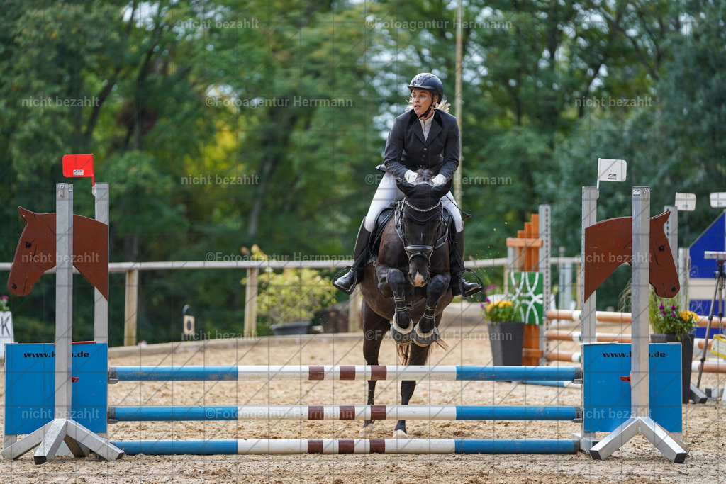 20231008-SN_01100 | Professionelle Turnier- und Reitsportfotografie - mit dem Finger am Auslöser. Pferdebilder aus dem Reitsport von den Turnierfotografen  Bayern , Pferdefotograf Bayern, Pferdeshooting Turnierbilder, Hochzeitsfotograf, Eventfotograf, Hochzeitsbilder
