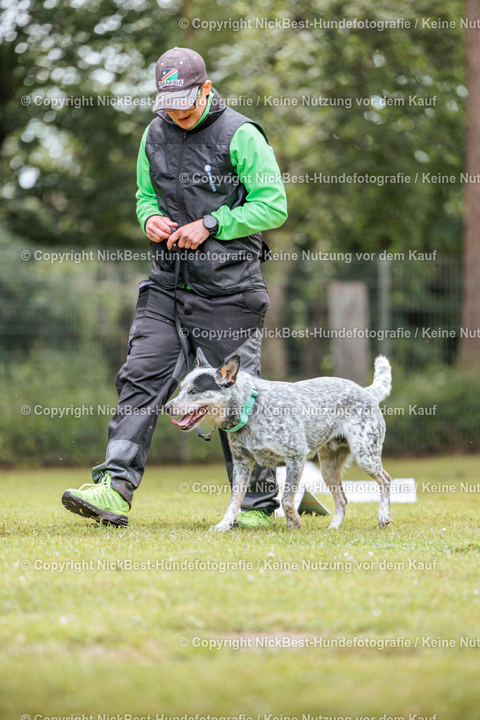 RO-Blumenthal-2026-Nickbest-Hundefotografie-5371 | Dein Hund! Dein Moment! Deine Erinnerungen! Hundefotografie in Bremen Blumenthal. Ich fange die besonderen Momente deines Vierbeiners ein – ob Indoor mit Blitzanlage oder in der freien Natur. Sicher dir dein Moment und dein Termin für eure Erinnerungen.