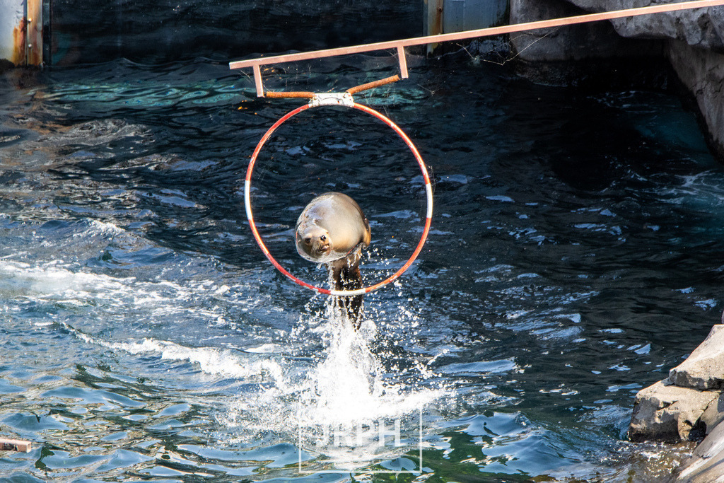 IMG_7753 | jrph - Realisiert mit Pictrs.com