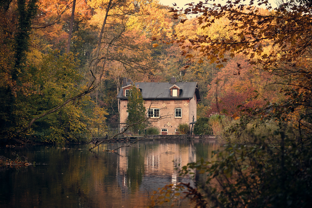 09_November | Entdecken Sie hochwertige Fotoprodukte für Ihr Zuhause, Büro oder als besonderes Geschenk.rpixel.de bietet Ihnen exklusive Fotografien aus den Bereichen Natur, Landschaft und Motiven vom Meer.Einfach direkt im Online-Shop bestellen. - Realisiert mit Pictrs.com