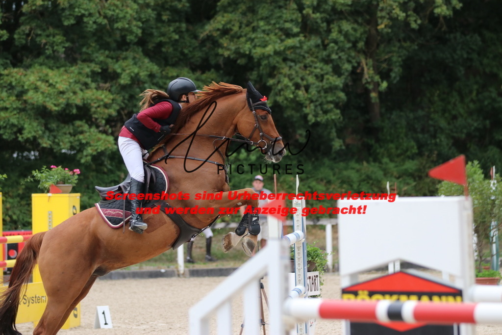 IMG_2829 | lmwpictures - Realisiert mit Pictrs.com