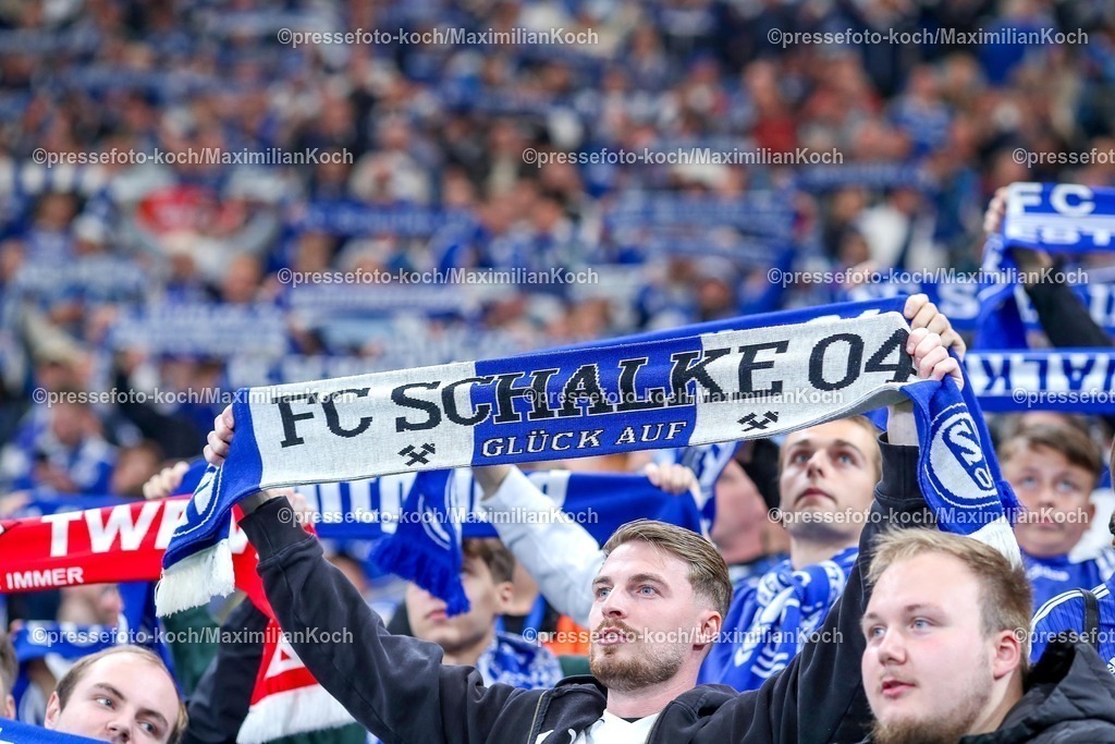 S0413092501084 | 13.09.2025, Fußball, FC Schalke 04 - Holstein Kiel, 5.Spieltag, 2. Fußball Bundesliga, Veltins-Arena Gelsenkirchen, Saison 2025 2026: Fans auf der Tribüne Fanschal Schriftzug Schalparade SchalDFB regulations prohibit any use of photographs as image sequences and or quasi-video.