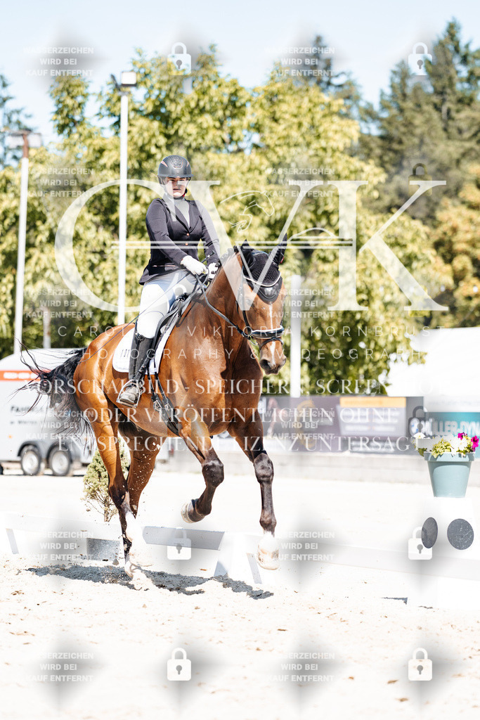 CK900067 | Turnierfotografie Pferdefotografie Trier Rheinland-Pfalz Pferdesport Reitsport Tierfotografie Sportfotografie Pferdevideo Pferdevideografie Equestrianvideography equestrianphotography  - Realisiert mit Pictrs.com