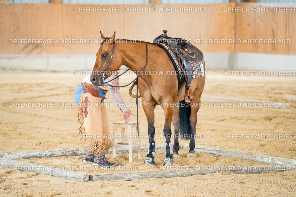 DSC07318 | Pferdegrafie