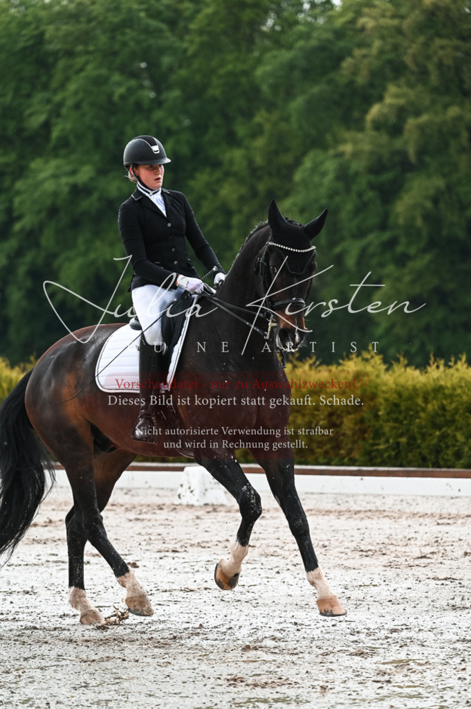 DSC_4366 | Pferde- und Turnierfotografie in Westsachsen. Pferdeportraits, Auftragszeichnungen und intuitive Kunst.